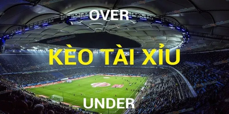 Kinh nghiệm vàng để cá cược kèo tài xỉu là gì?